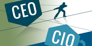 cio ceo